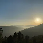 View Lejlighed *